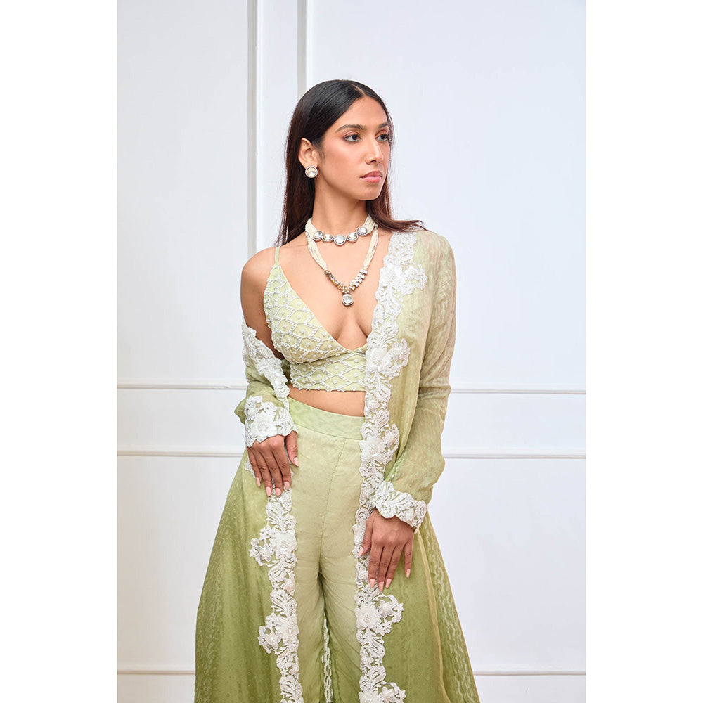 Aishwarya Tyagi Organza Jamdani Bustier with Jacket & Palazzo (Set of 3)