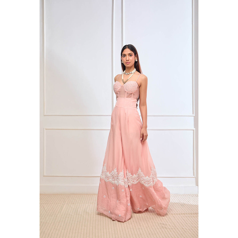 Aishwarya Tyagi Organza Jamdani Crop Top with Flared Palazzo (Set of 2)