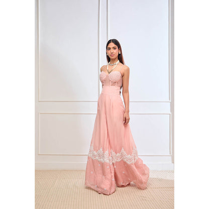 Aishwarya Tyagi Organza Jamdani Crop Top with Flared Palazzo (Set of 2)