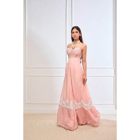 Aishwarya Tyagi Organza Jamdani Crop Top with Flared Palazzo (Set of 2)