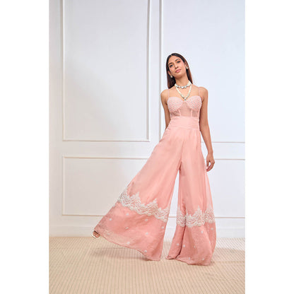 Aishwarya Tyagi Organza Jamdani Crop Top with Flared Palazzo (Set of 2)