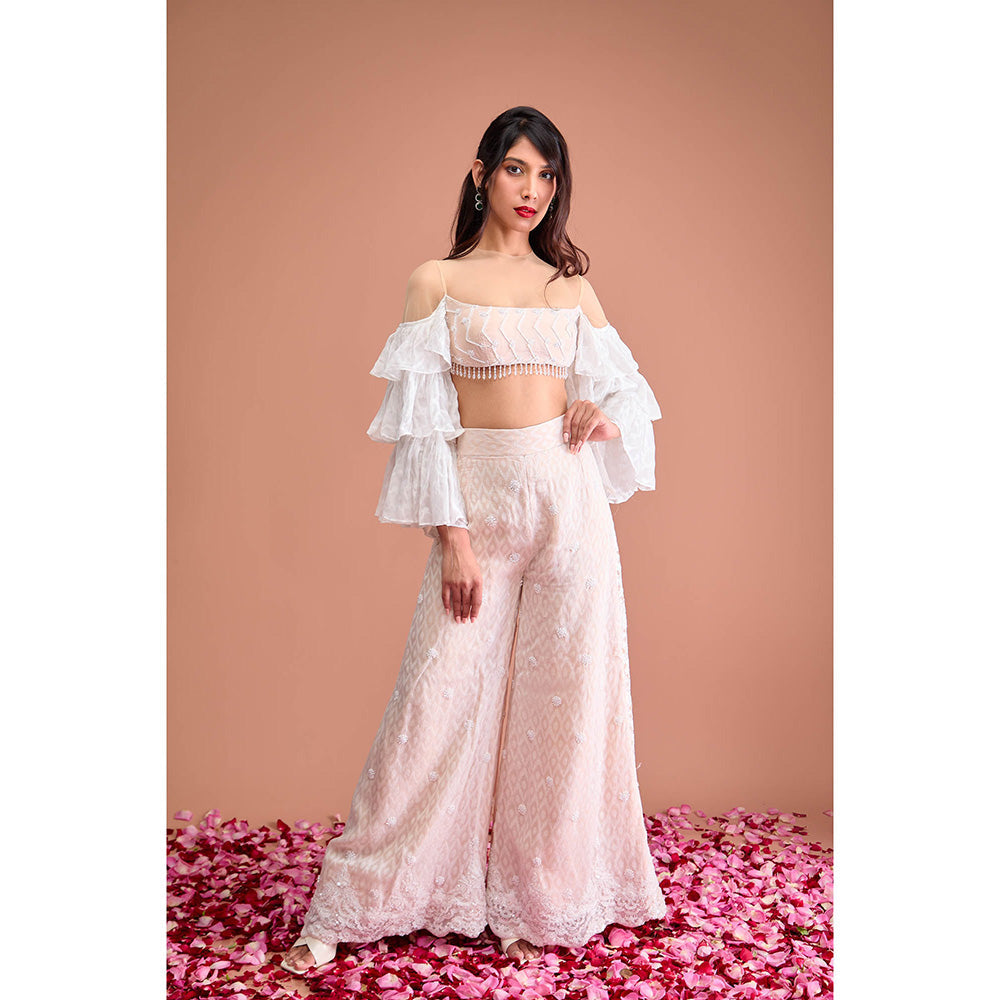 Aishwarya Tyagi Organza Jamdani Crop Top with Flared Palazzo (Set of 2)