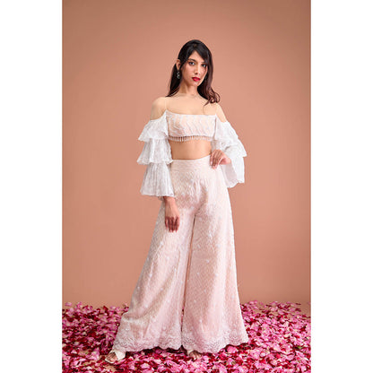 Aishwarya Tyagi Organza Jamdani Crop Top with Flared Palazzo (Set of 2)