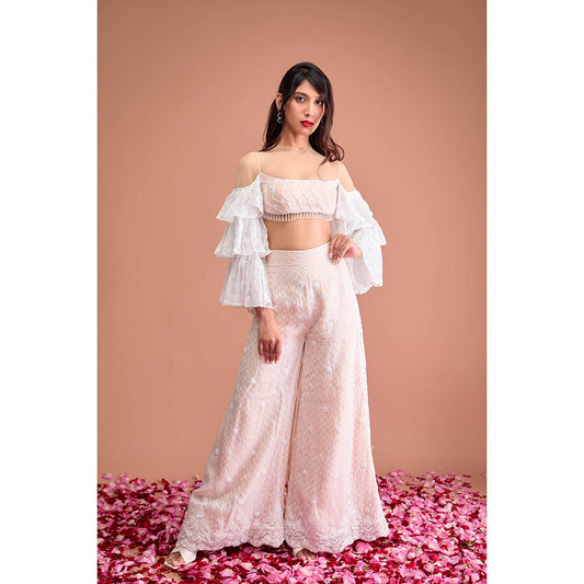 Aishwarya Tyagi Organza Jamdani Crop Top with Flared Palazzo (Set of 2)