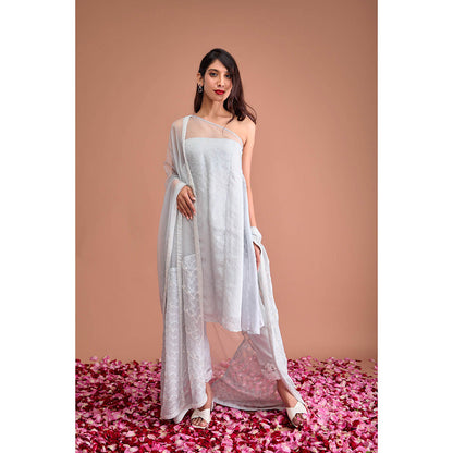 Aishwarya Tyagi Organza Jamdani One Shoulder Flared Kurta with Pant & Dupatta (Set of 3)