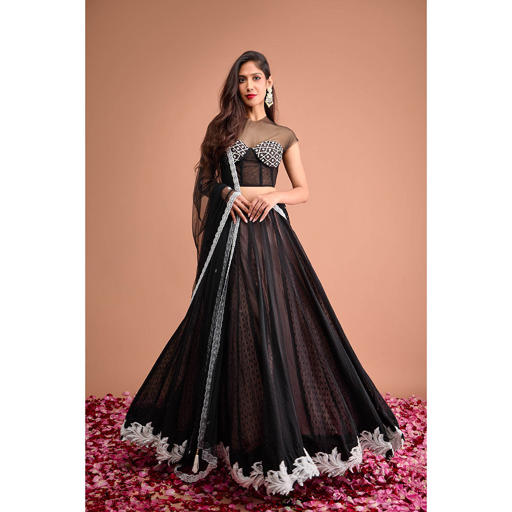 Aishwarya Tyagi Organza Jamdani Cap Sleeve Blouse with Lehenga & Dupatta (Set of 3)