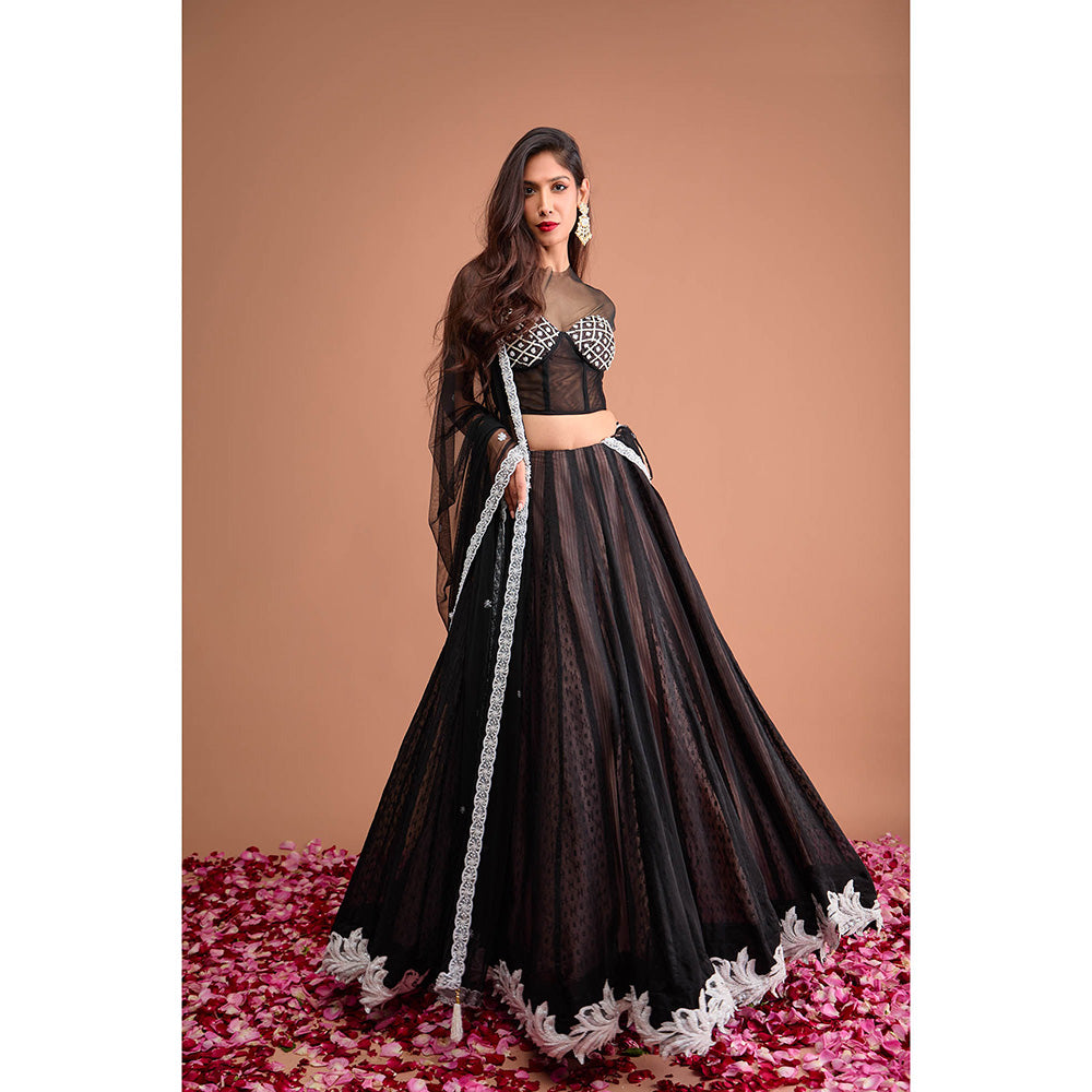 Aishwarya Tyagi Organza Jamdani Cap Sleeve Blouse with Lehenga & Dupatta (Set of 3)