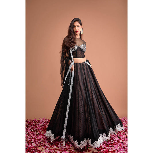 Aishwarya Tyagi Organza Jamdani Cap Sleeve Blouse with Lehenga & Dupatta (Set of 3)