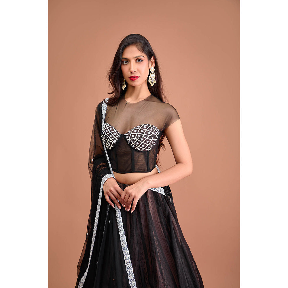 Aishwarya Tyagi Organza Jamdani Cap Sleeve Blouse with Lehenga & Dupatta (Set of 3)