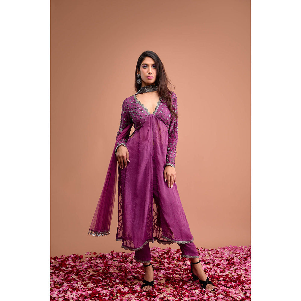 Aishwarya Tyagi Organza Jamdani Straight Fit Kurta with Pant & Dupatta (Set of 3)