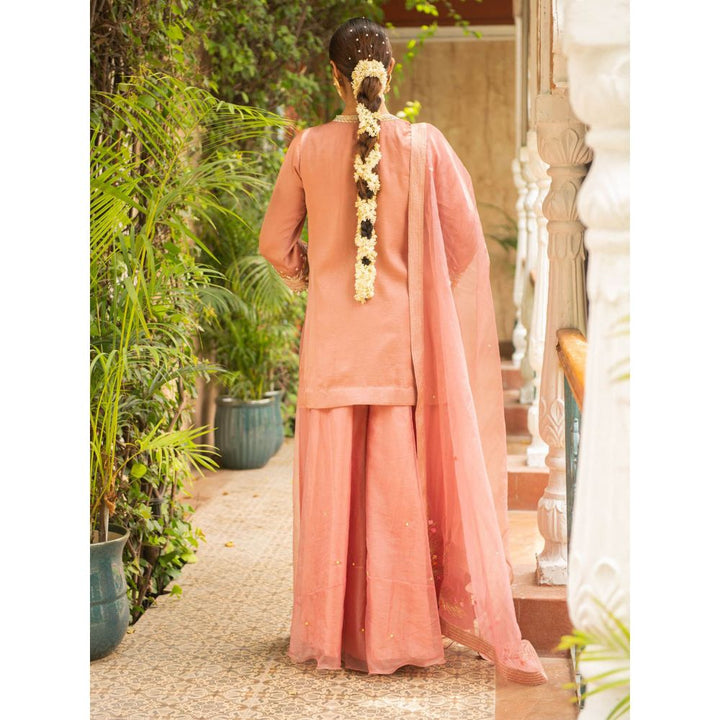 Ajiesh Oberoi Kriti Old Rose Straight Short Kurta and Sharara with Dupatta (Set of 3)