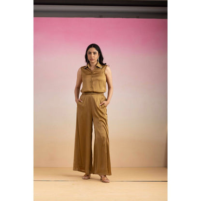 Ajiesh Oberoi Brown Priya Shirt with Pant (Set of 2)