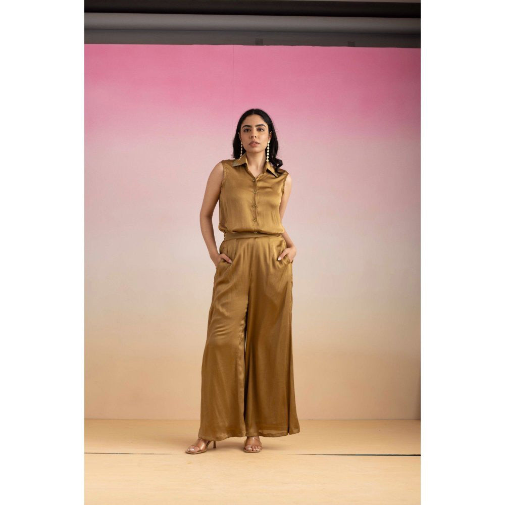 Ajiesh Oberoi Brown Priya Shirt with Pant (Set of 2)