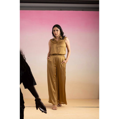 Ajiesh Oberoi Brown Priya Shirt with Pant (Set of 2)