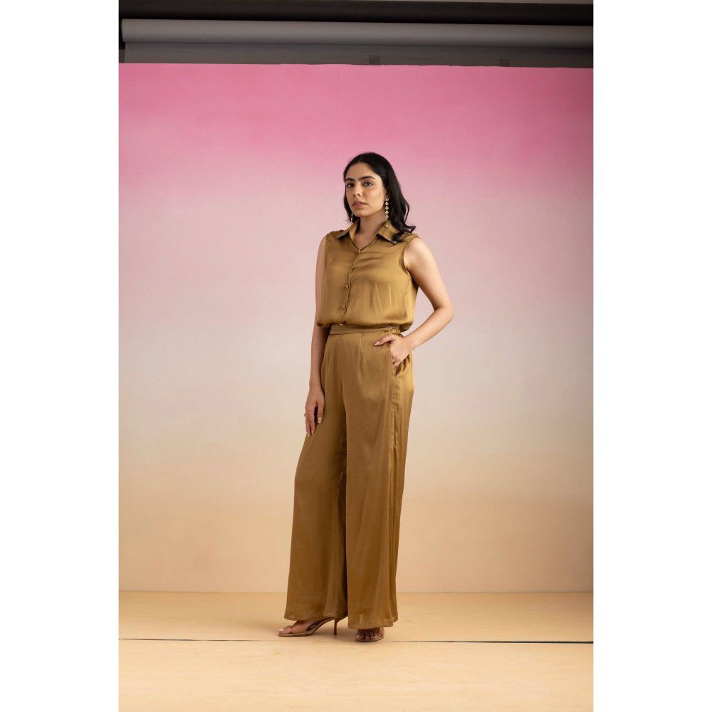 Ajiesh Oberoi Brown Priya Shirt with Pant (Set of 2)