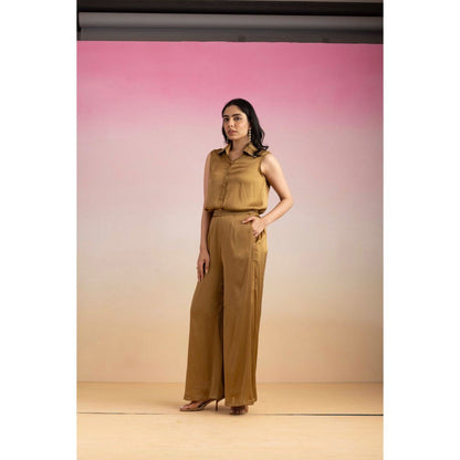 Ajiesh Oberoi Brown Priya Shirt with Pant (Set of 2)