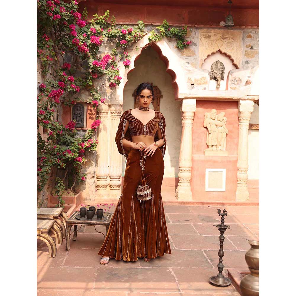 Ajiesh Oberoi Honey Gold Sharara with Blouse (Set of 2)