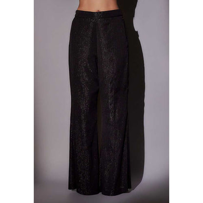 Ajiesh Oberoi Black Hand Embroidered Cape with Bustier and Pant (Set of 3)