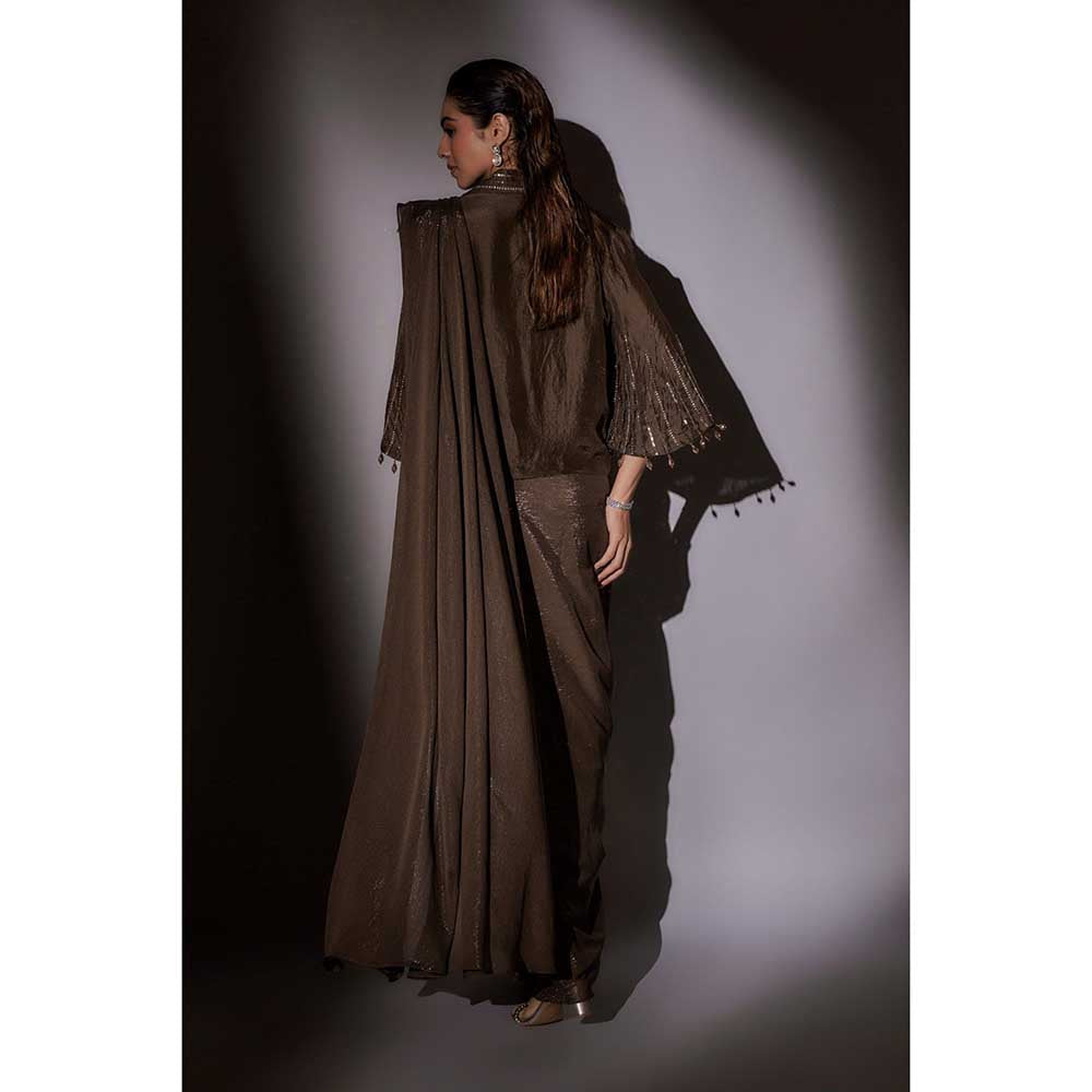 Ajiesh Oberoi Brown Richa Bohemian Inspired Pre Draped Saree with Stitched Blouse