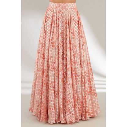 Ajiesh Oberoi Peach Embroidered Waist Band and Cuffs Jacket with Skirt (Set of 2)