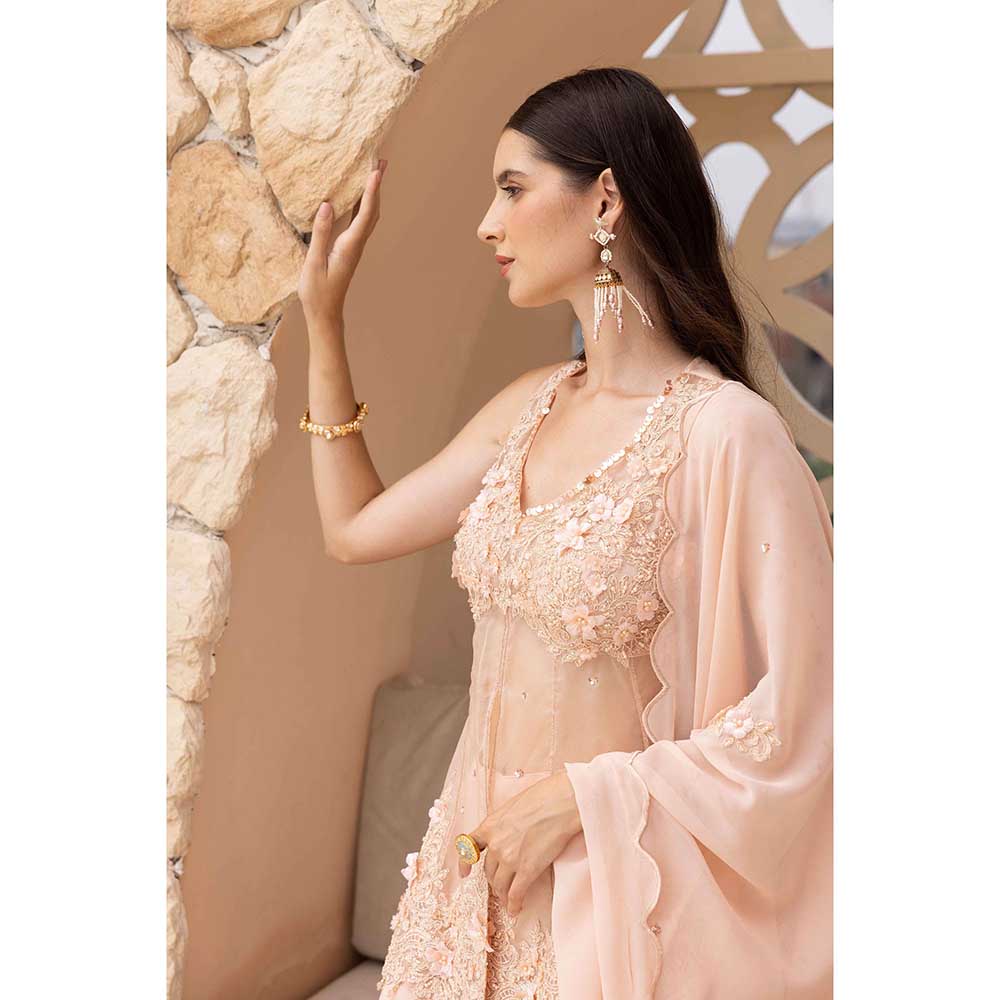 Ajiesh Oberoi Peach Surat Peplum Top with Sharara and Dupatta (Set of 3)