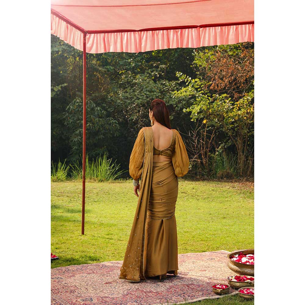 Ajiesh Oberoi Princess Sleeves Scalps Pre Stitched Drape Saree With Stitched Blouse - Gold