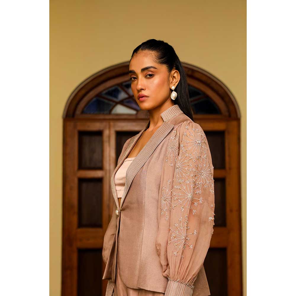 Ajiesh Oberoi Organza Embellished Jacket With Pant And Bustier - Tan