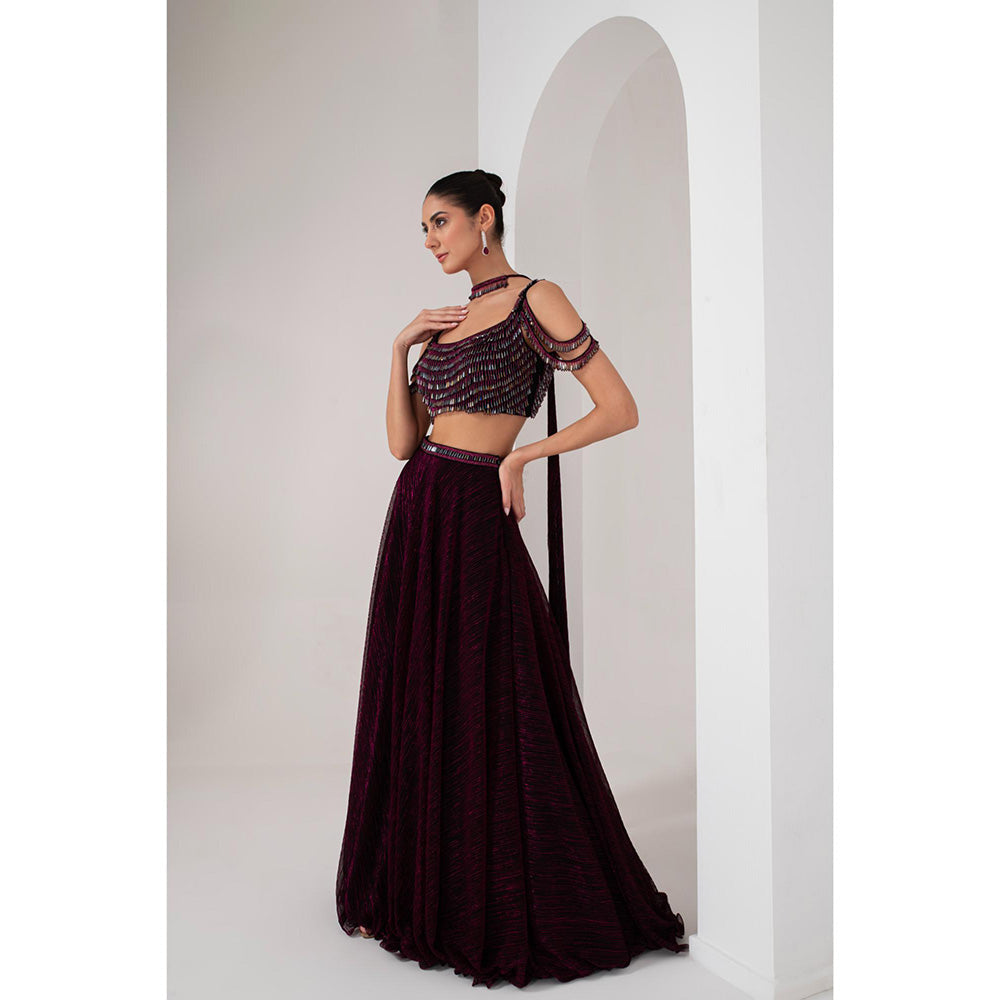 AKARA Women's Wine Crystal Embellished Stitched Blouse with Lehenga and Dupatta (Set of 3)