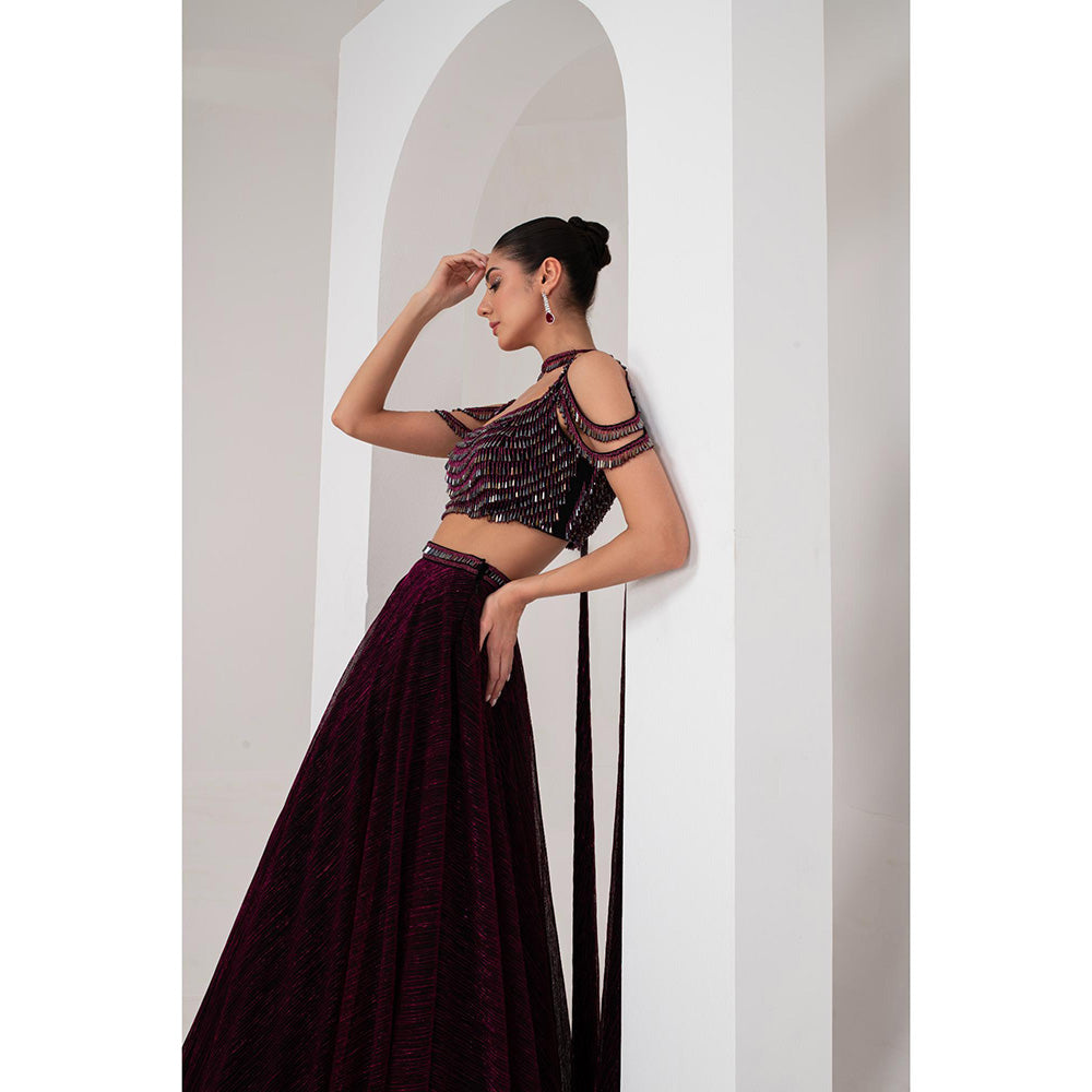 AKARA Women's Wine Crystal Embellished Stitched Blouse with Lehenga and Dupatta (Set of 3)