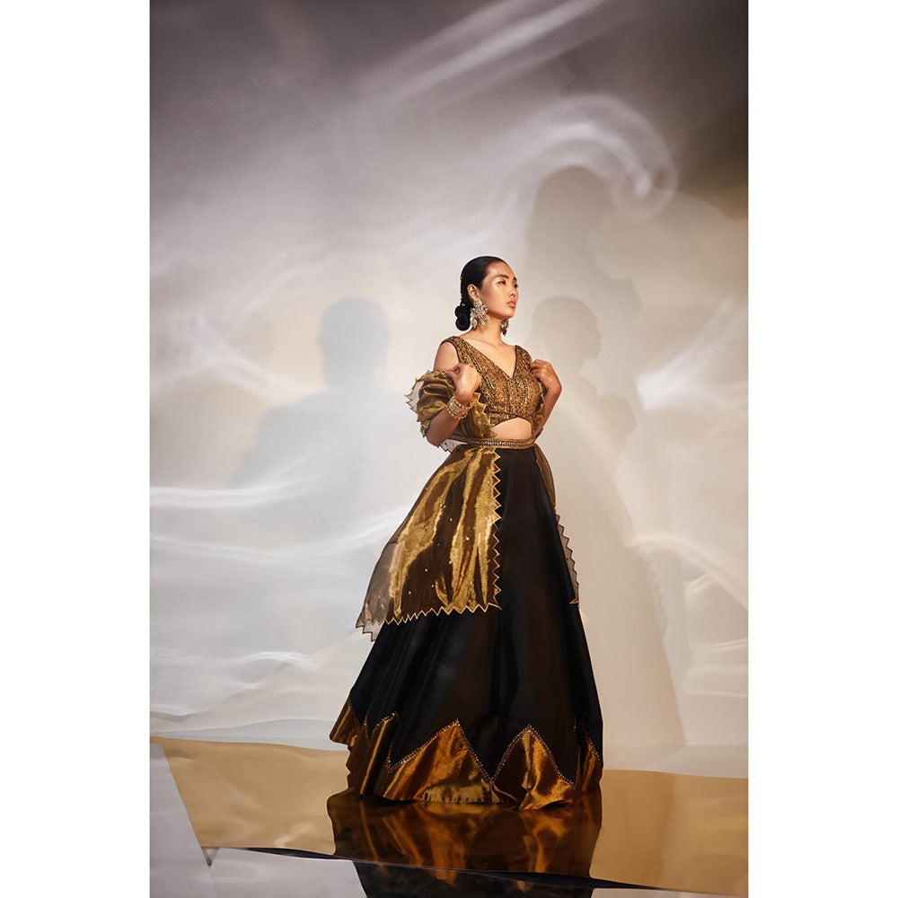 AKARA Women's Black & Gold Embellished Stitched Blouse with Lehenga and Dupatta (Set of 3)