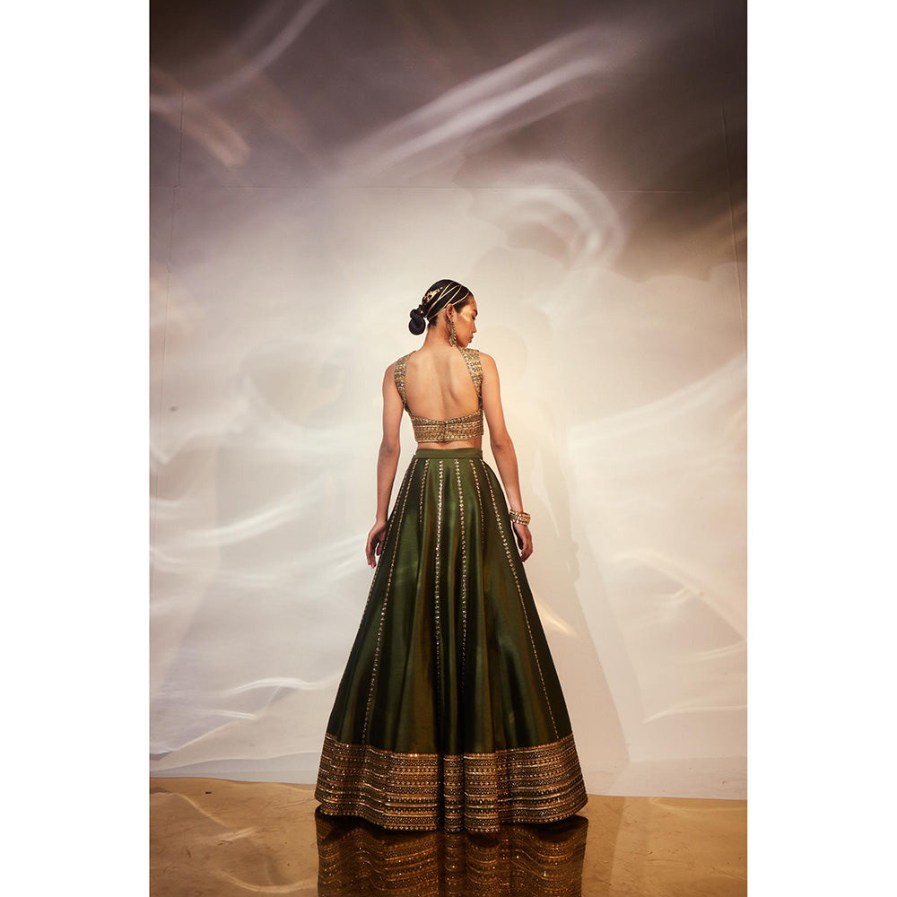 AKARA Women's Green Embellished Stitched Blouse with Lehenga and Dupatta (Set of 3)