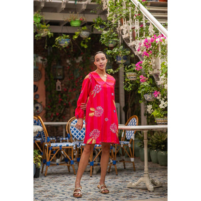 AKSH INDIA Pink Enchanted Garden Printed Dress