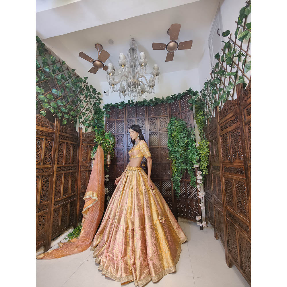 Amaltas Couture Rumeysa Banarasi Silk Blouse with Lehenga and Dupatta (Set of 3)