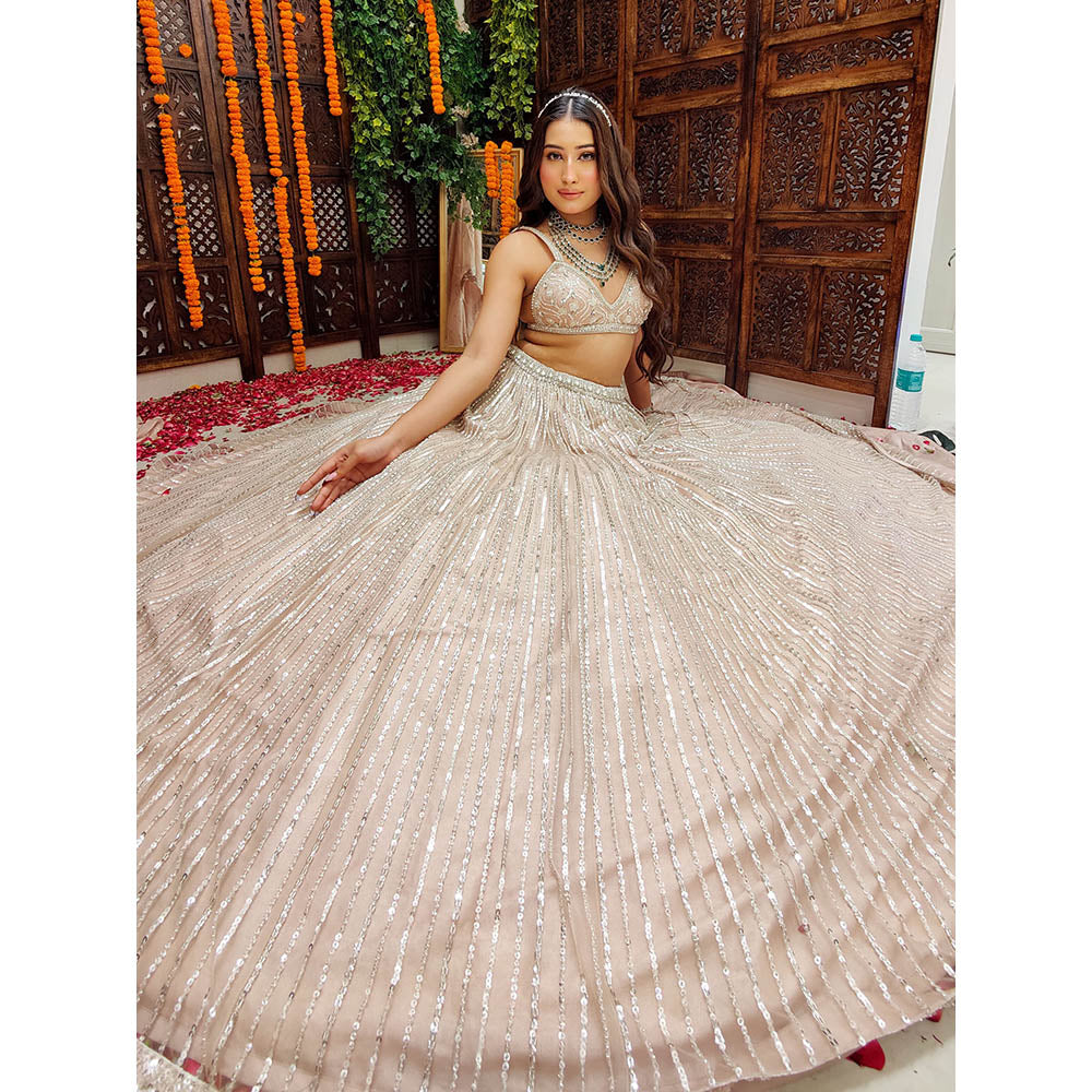 Amaltas Couture Adab Nude Peach Blouse with Lehenga and Dupatta (Set of 3)