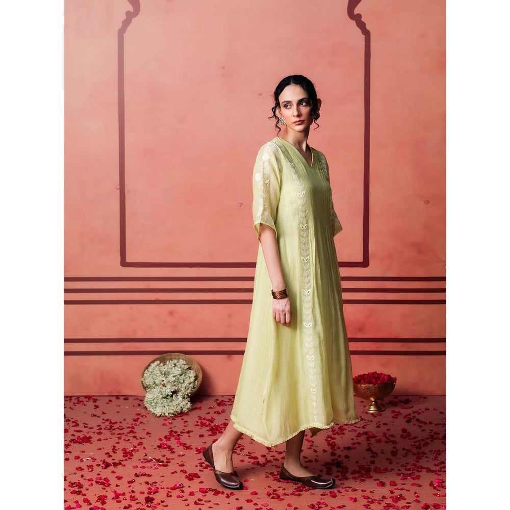 AM by Anita Mittal Green Cotton Kaia Kurta with Pant