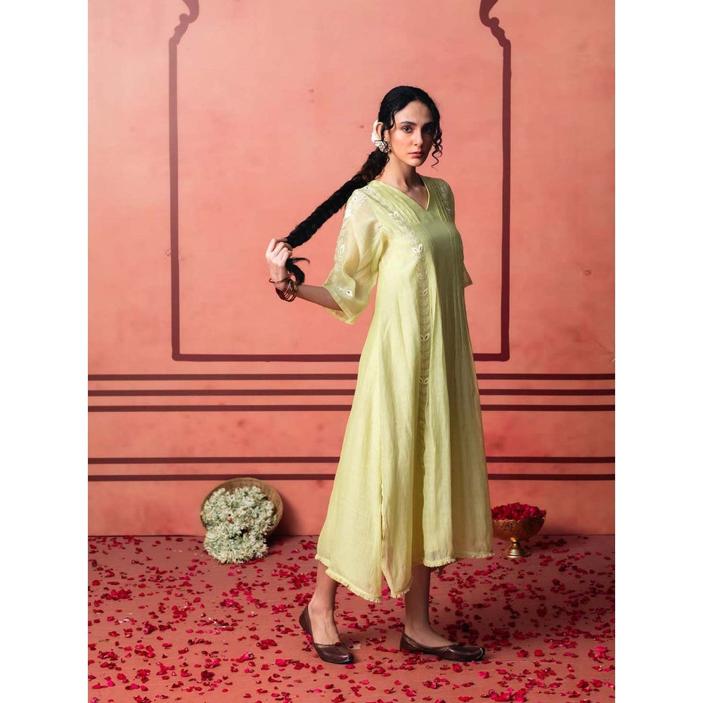 AM by Anita Mittal Green Cotton Kaia Kurta with Pant