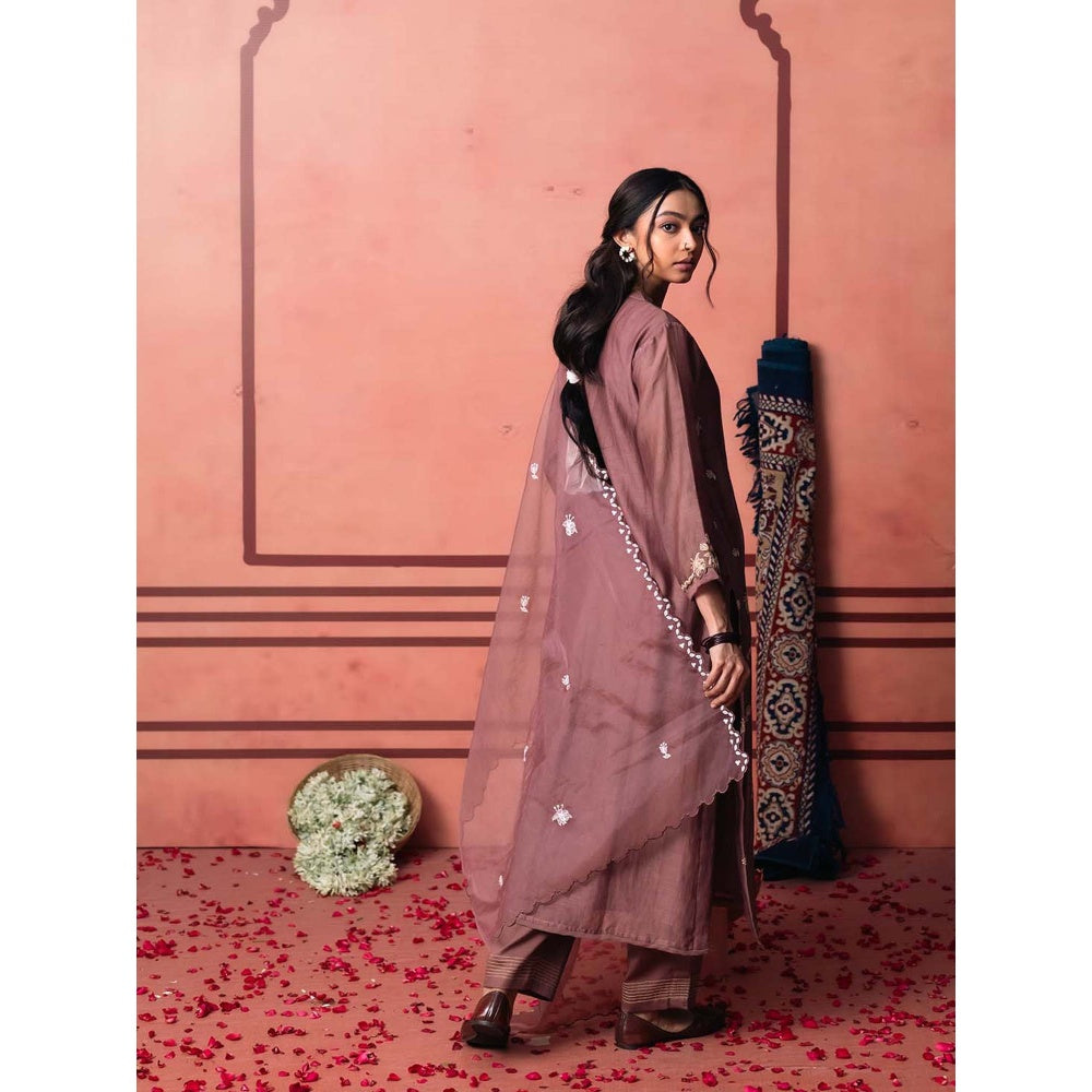 AM by Anita Mittal Brown Chanderi Niva Kurta with Pant and Dupatta