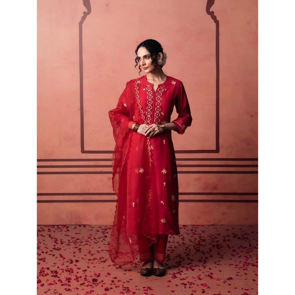AM by Anita Mittal Red Chanderi Niva Kurta with Pant and Dupatta