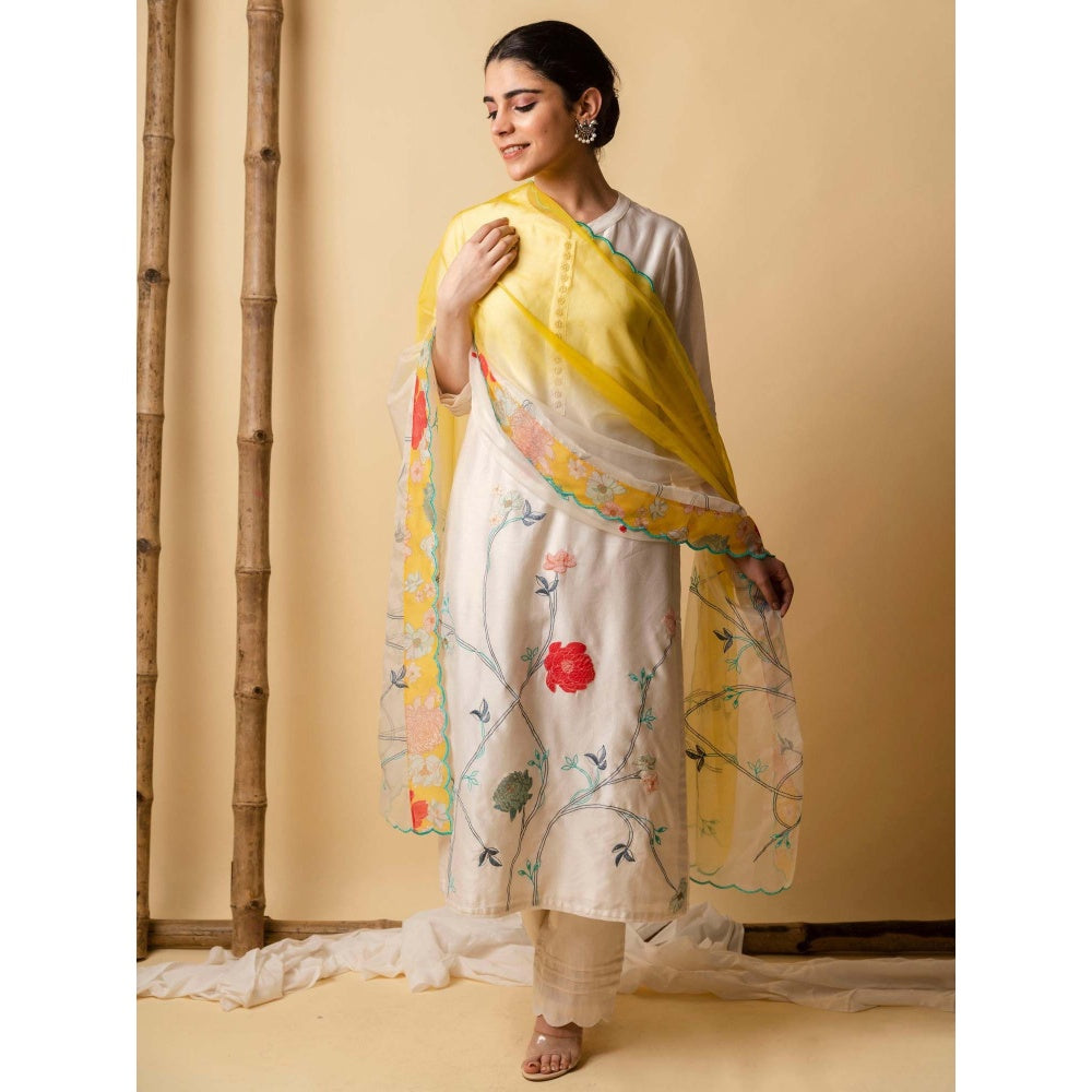 AM by Anita Mittal Blue Floral Applique Kurta with Pant and Dupatta