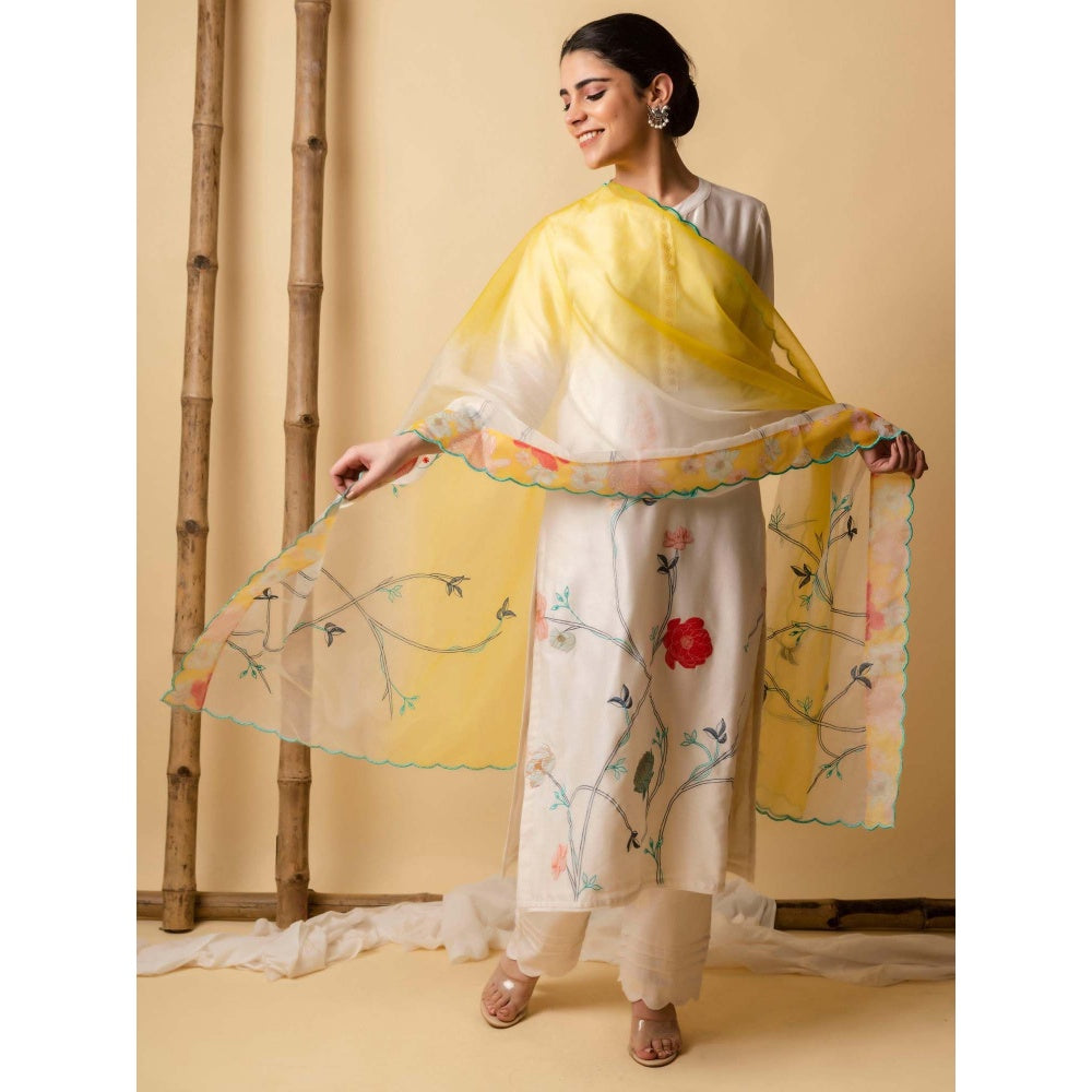 AM by Anita Mittal Blue Floral Applique Kurta with Pant and Dupatta