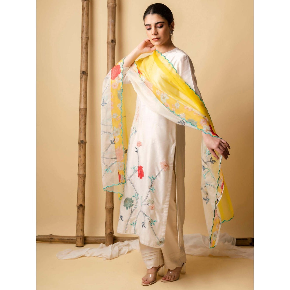 AM by Anita Mittal Blue Floral Applique Kurta with Pant and Dupatta