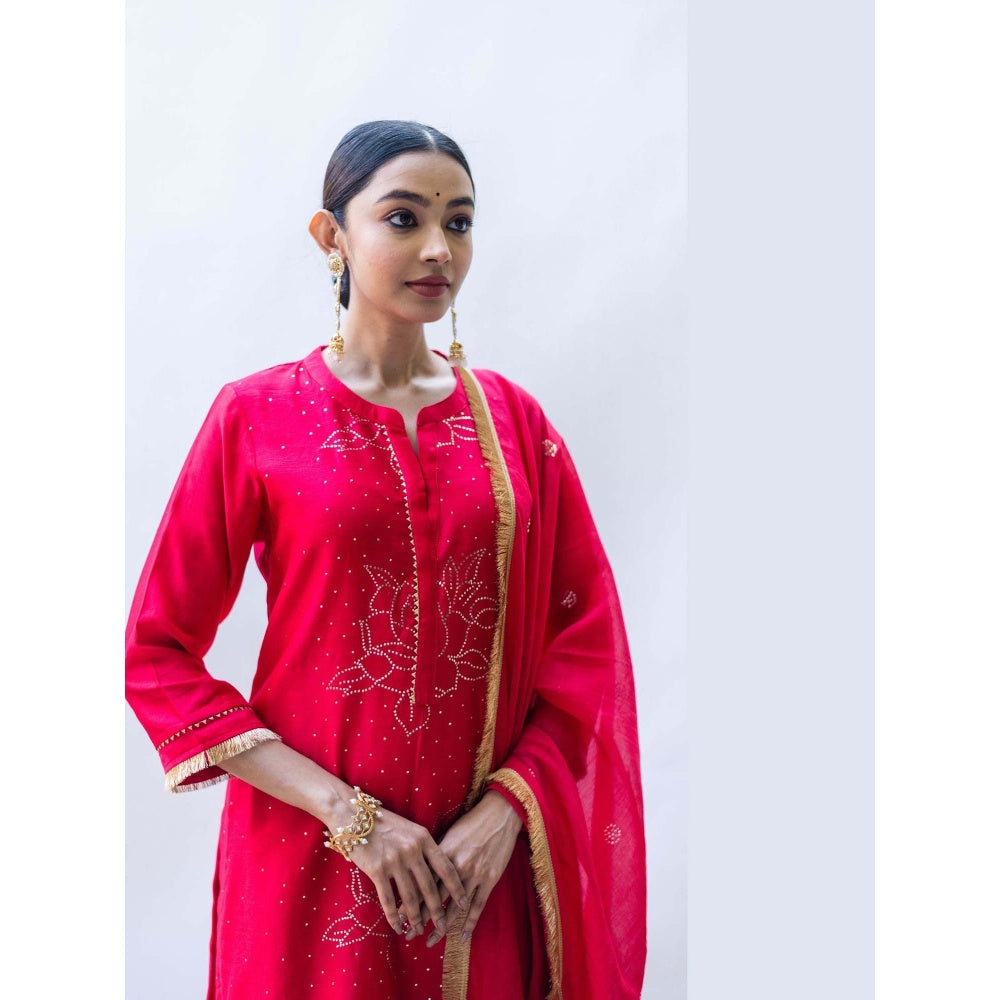 AM by Anita Mittal Pink Ziva Kurta with Pant and Dupatta