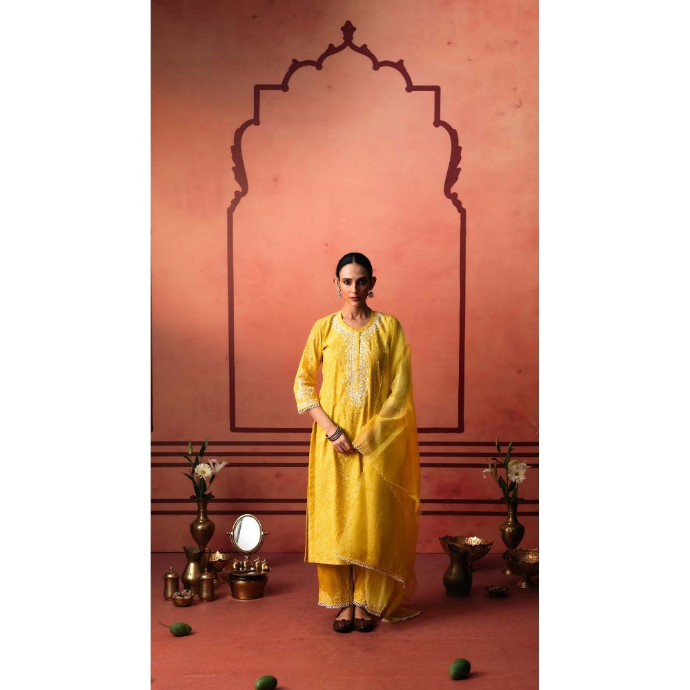 AM by Anita Mittal Yellow Kairi Kurta with Pant and Dupatta