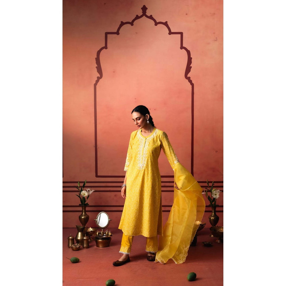 AM by Anita Mittal Yellow Kairi Kurta with Pant and Dupatta