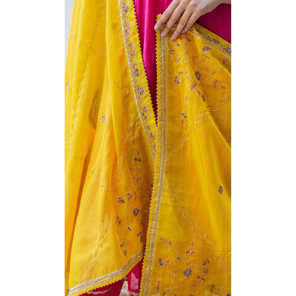 AM by Anita Mittal Pink Leila A-Line Kurta with Pant and Dupatta