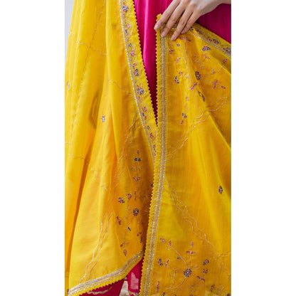 AM by Anita Mittal Pink Leila A-Line Kurta with Pant and Dupatta