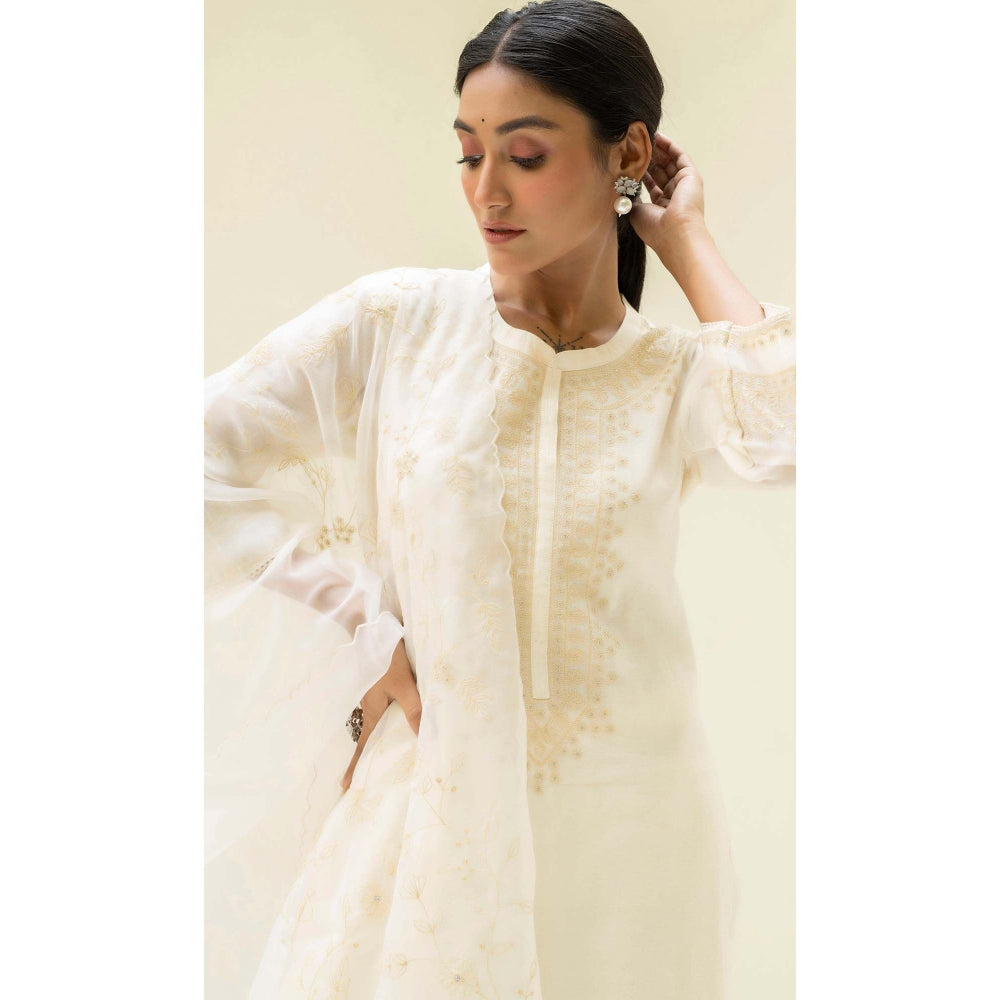 AM by Anita Mittal White Cotton Dastak Kurta with Pant and Dupatta