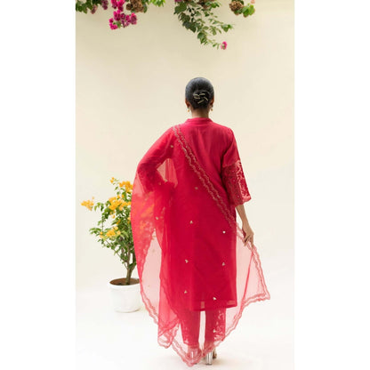 AM by Anita Mittal Red Silk Reverse Applique Kurta with Pant and Dupatta