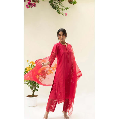 AM by Anita Mittal Red Silk Reverse Applique Kurta with Pant and Dupatta
