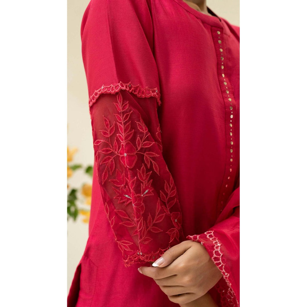 AM by Anita Mittal Red Silk Reverse Applique Kurta with Pant and Dupatta